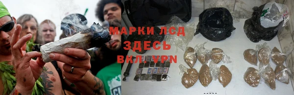 каннабис Беломорск