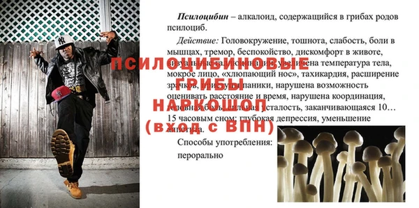 каннабис Беломорск