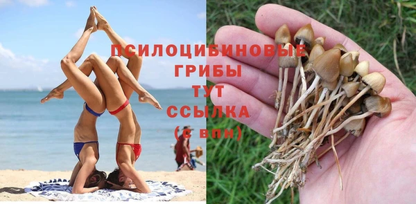 кристаллы Белокуриха