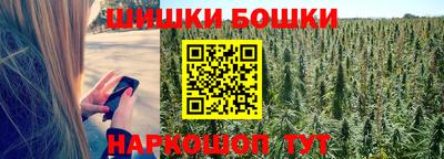 ешки Бийск