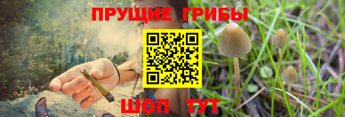 Галлюциногенные грибы Cubensis Кушва