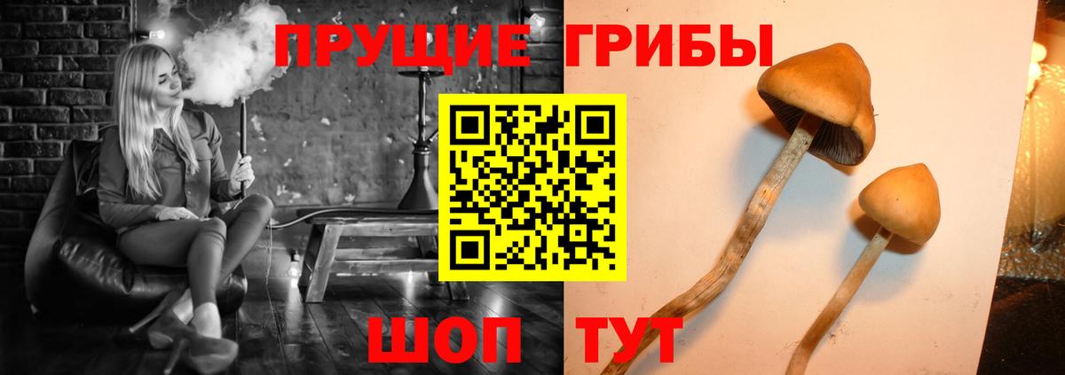 Кушва  Галлюциногенные грибы Psilocybine cubensis  хочу наркоту  Галлюциногенные грибы GOLDEN TEACHER  Вход с VPN 