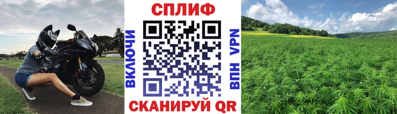 Канабис ГИДРОПОН  MEGA как зайти  Кушва 