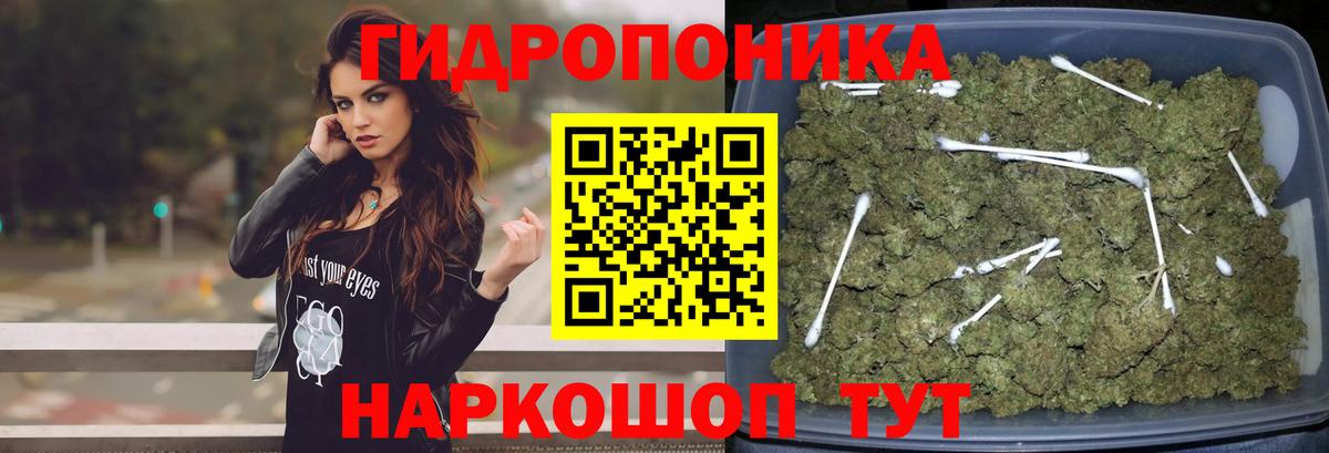 Бошки марихуана Ganja  Вход с VPN  Кушва  Канабис SATIVA & INDICA  Бошки марихуана сатива 